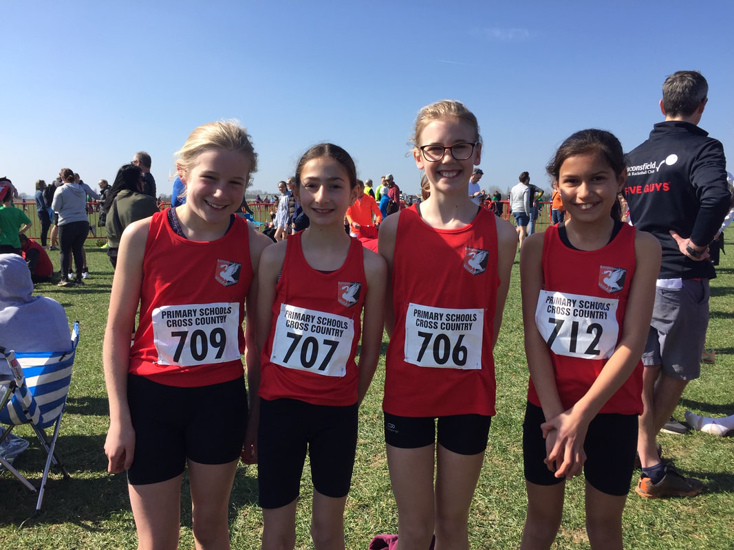 SIAB Cross Country & National Primary Schools Cross Country Chiltern